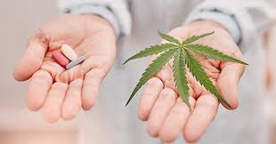 Understanding Medical Cannabis