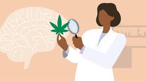 Cannabis and Mental Wellness