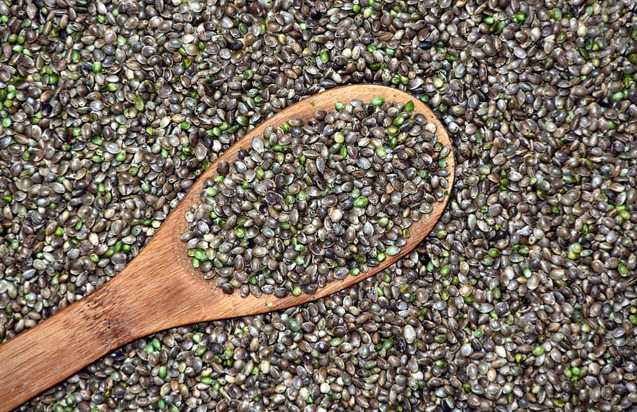 Organic Cannabis Growing Tips