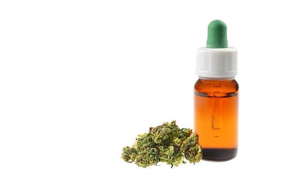 Ingredients in CBD Oil
